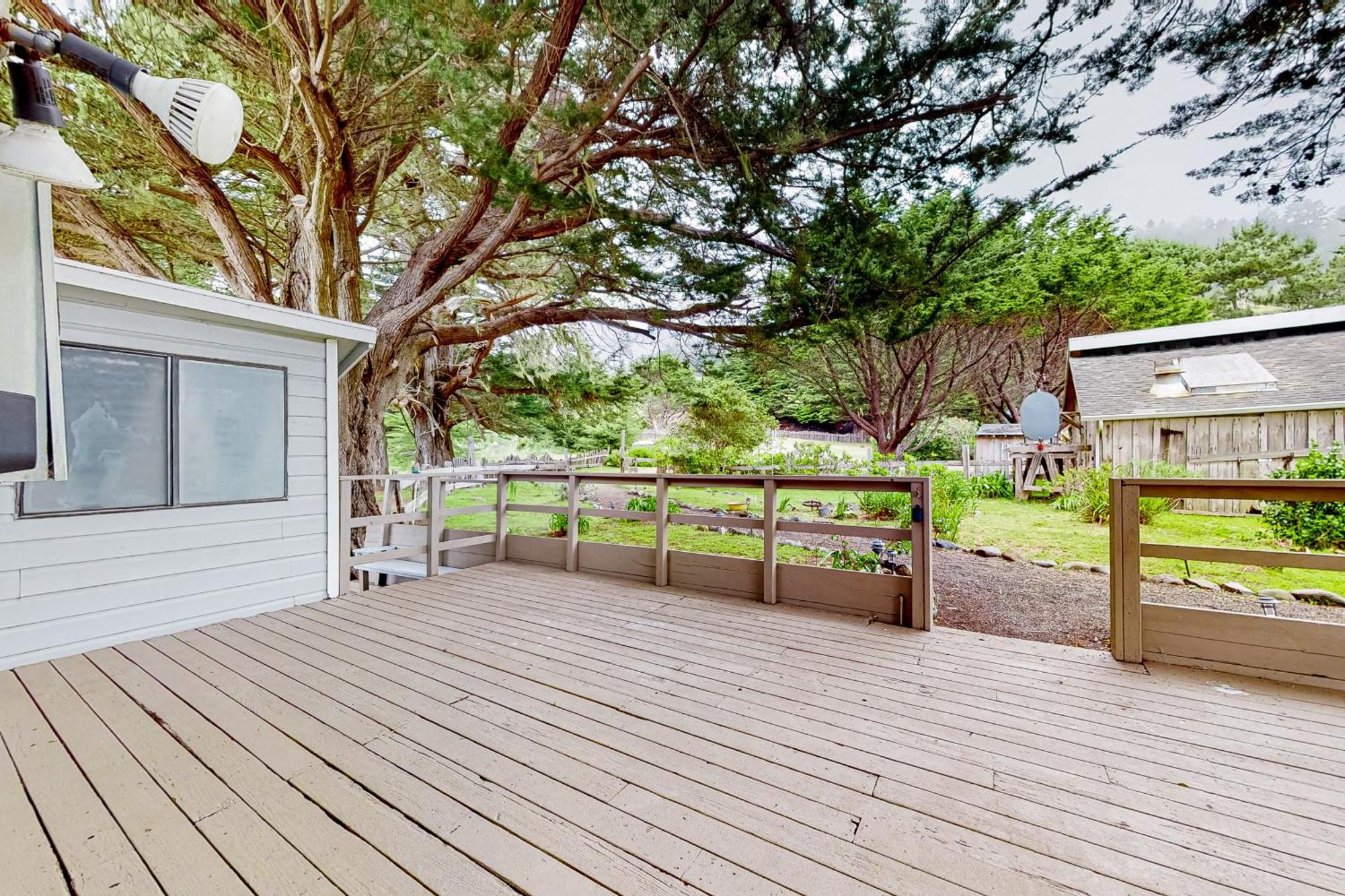 Saddle Point Ocean View Cottage Elk Exterior photo